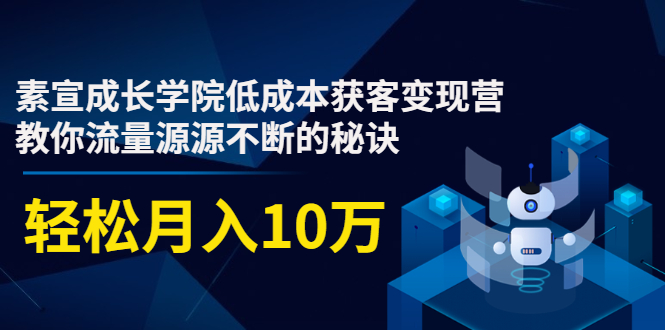 素宣成长学院低成本获客变现营，教你流量源源不断的秘诀，轻松月入10万-稳赚族