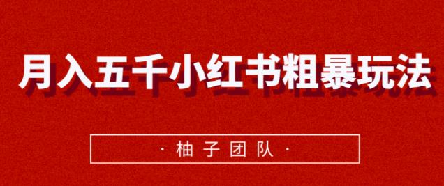 月入五千小红书粗暴赚钱玩法，适合上班族的赚钱副业【视频课程】-稳赚族