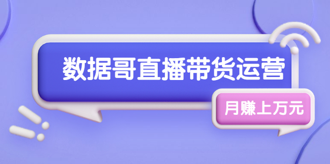 数据哥直播带货运营线上进阶课，让普通人也能靠直播月赚上万元-稳赚族