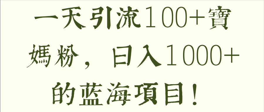 一天引流100+宝妈粉，日入1000+的蓝海项目！【视频教程】-稳赚族