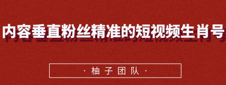 内容垂直粉丝精准的短视频生肖号，小众领域简单操作月入10000+【视频课程】-稳赚族