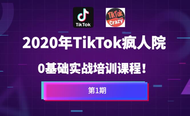 疯人院Tiktok海外版抖音零基础实战课程第1期，让你方位掌握TikTok基础运营方法-稳赚族