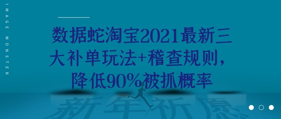 数据蛇淘宝2021最新三大补单玩法+稽查规则，降低90%被抓概率-稳赚族