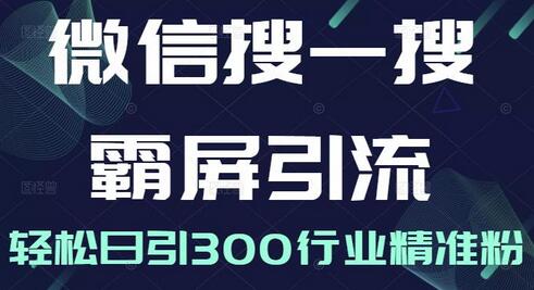 微信搜一搜霸屏引流课，打造被动精准引流系统，轻松日引300行业精准粉【无水印】-稳赚族