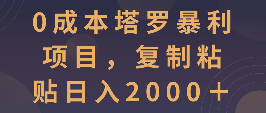 0成本塔罗暴利项目，复制粘贴日入2000＋【视频教程】-稳赚族