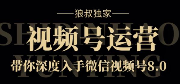 狼叔独家：视频号8.0运营实战课价值1280元-稳赚族