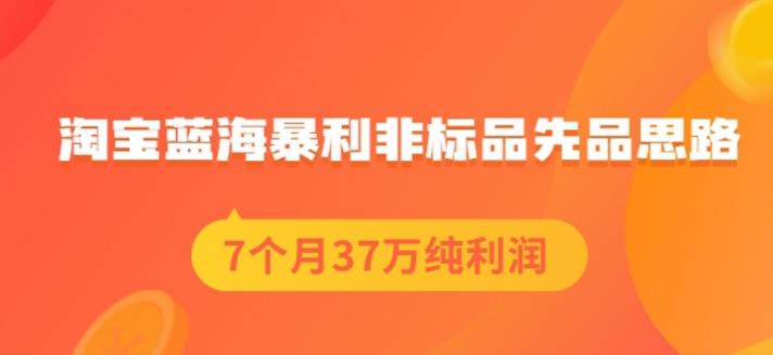 盗坤淘宝蓝海暴利非标品先品思路，7个月37万纯利润，压箱干货分享！-稳赚族