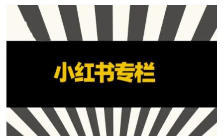 品牌医生·小红书全链营销干货，5个起盘案例，7个内容方向，n条避坑指南-稳赚族