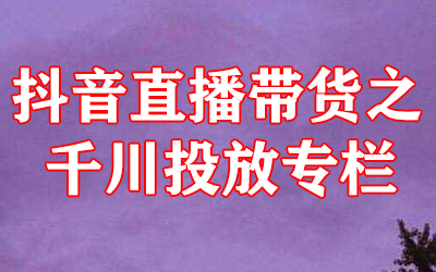 抖音直播带货之千川投放专栏-稳赚族