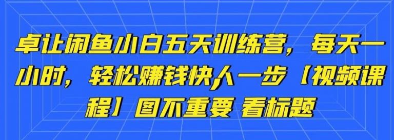 卓让闲鱼小白五天训练营，每天一小时，轻松赚钱快人一步【视频课程】-稳赚族