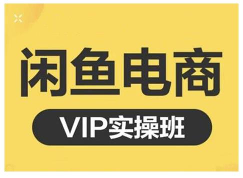 鱼客·闲鱼电商零基础入门到进阶VIP实战课程，帮助你掌握闲鱼电商所需的各项技能-稳赚族