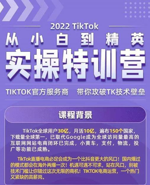 Seven漆·2022Tiktok从小白到精英实操特训营，带你掌握Tiktok账号运营-稳赚族