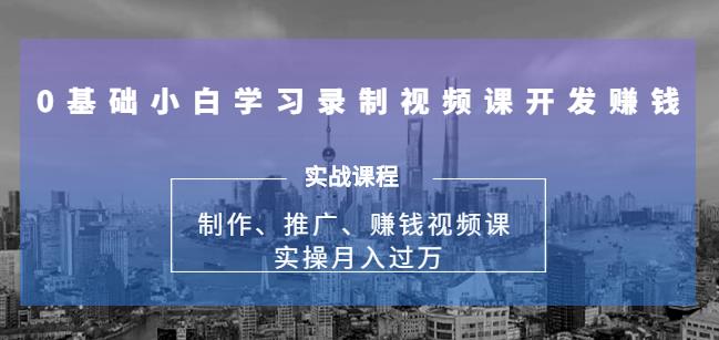 实操月入过万的网课制作、推广、赚钱，0基础学习录制视频课赚钱-稳赚族