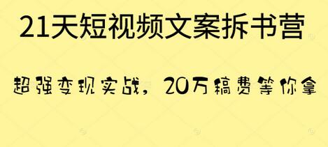 叶小鱼·21天短视频文案拆书营，超强变现实战，20万稿费等你拿-稳赚族