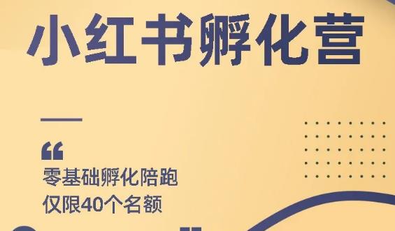 勇哥小红书撸金快速起量项目：教你如何快速起号获得曝光，做到月躺赚在 3000+-稳赚族