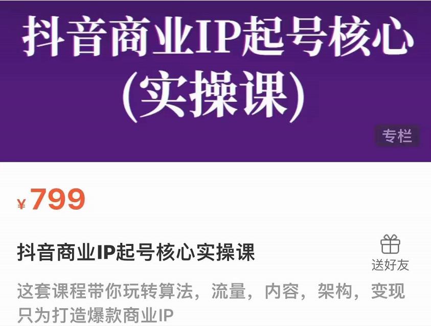 抖音商业IP起号核心实操课，带你玩转算法，流量，内容，架构，变现-稳赚族