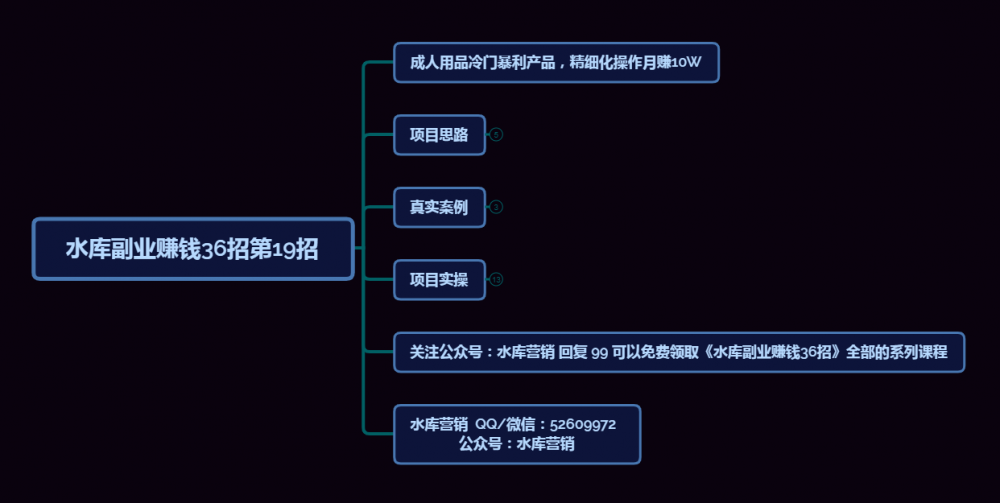 水库副业赚钱36招第19招：成人用品之冷门暴利产品，精细化操作月赚10W-稳赚族