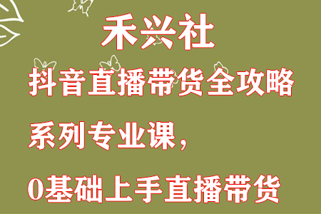 禾兴社·抖音直播带货全攻略系列专业课，0基础上手直播带货-稳赚族