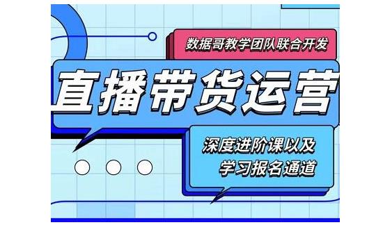 数据哥·新直播带货运营课(含电子资料)：破冷启动、818算法破解、高效率带货等-稳赚族