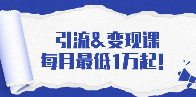 引流&变现课：分享一整套流量方法以及各个渠道收入，每月最低1万起！-稳赚族