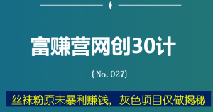 富赚营网创30计027：sw粉原w暴利赚钱，灰色项目仅做揭秘-稳赚族