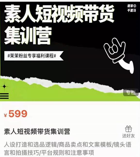 夜草与千里马素人短视频带货集训营，薛辉团队价值599-稳赚族