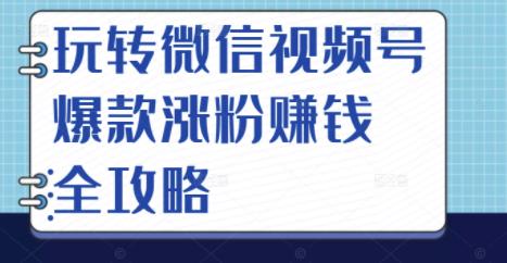 玩转微信视频号爆款涨粉赚钱全攻略，让你快速抓住流量风口，收获红利财富-稳赚族