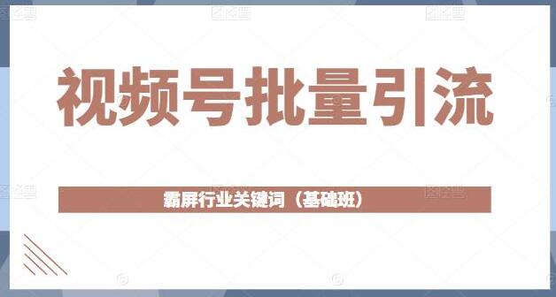 视频号批量引流，霸屏行业关键词（基础班）全面系统讲解视频号玩法【无水印】-稳赚族