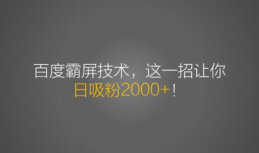 老派Seo百度霸屏引流课程，打造精准被动流量-稳赚族