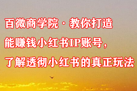 百微商学院·教你打造能赚钱小红书IP账号，了解透彻小红书的真正玩法-稳赚族