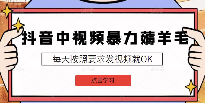 2022抖音中视频暴力薅羊毛白嫖项目：新号每天20块，老号几天几百块，可多号-稳赚族