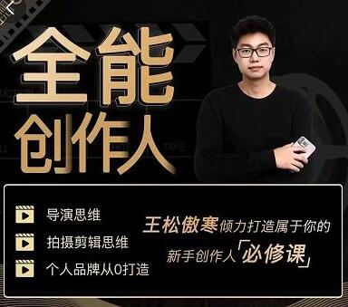 王松傲寒·全能创作人思维课，帮你打造创作人IP，全面提升导演思维-稳赚族