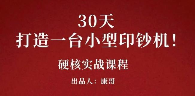 康哥30天打造一台小型印钞机：躺赚30万的项目-稳赚族