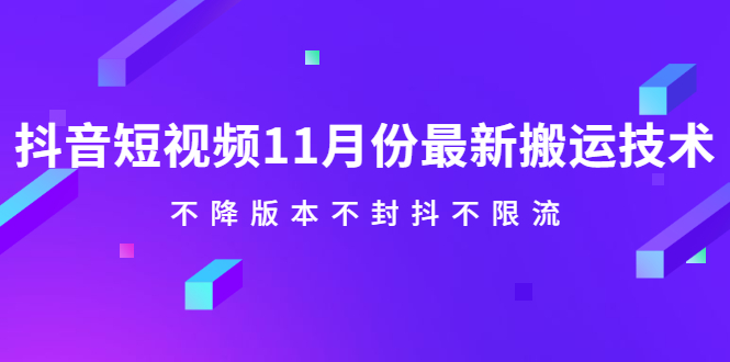 抖音短视频11月份最新搬运技术，不降版本不封抖不限流！【视频课程】-稳赚族