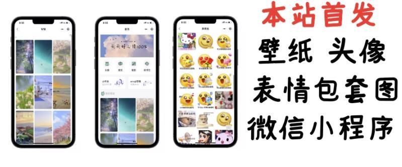 小白0基础搭建微信壁纸头像表情包小程序-稳赚族
