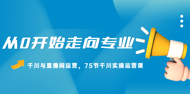 从0开始走向专业，千川与直播间运营，75节千川实操运营课-稳赚族