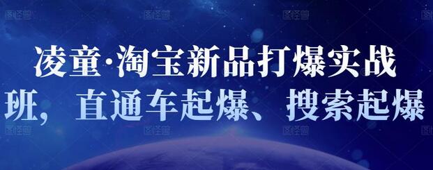 凌童·淘宝新品打爆实战班，直通车起爆、搜索起爆-稳赚族