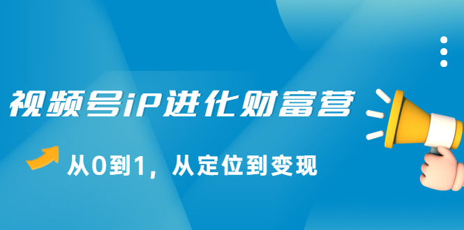 视频号iP进化财富营，从0到1，从定位到变现赚钱-稳赚族