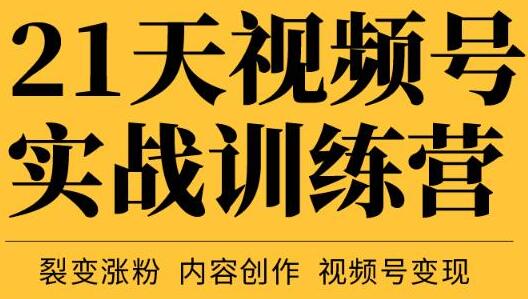 张萌21天视频号实战训练营，裂变涨粉、内容创作、视频号变现 价值298元-稳赚族