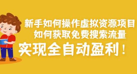 新手如何操作虚拟资源项目：如何获取免费搜索流量，实现全自动盈利！-稳赚族