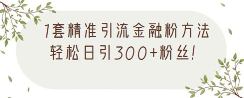 1套精准引流金融粉方法，轻松日引300+粉丝【视频课程】-稳赚族