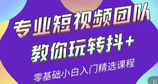 专业短视频团队教你玩转抖+0基础小白入门精选课程（价值399元）-稳赚族