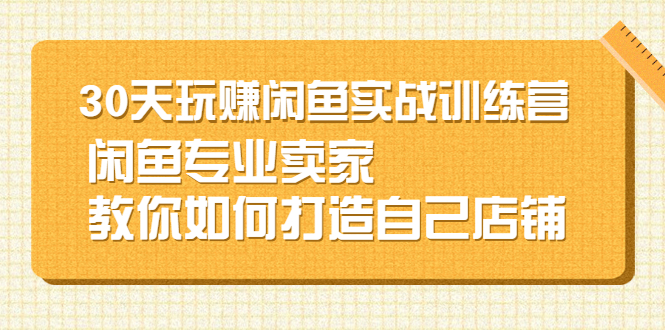 30天玩赚闲鱼实战训练营，闲鱼专业卖家教你如何打造自己店铺-稳赚族