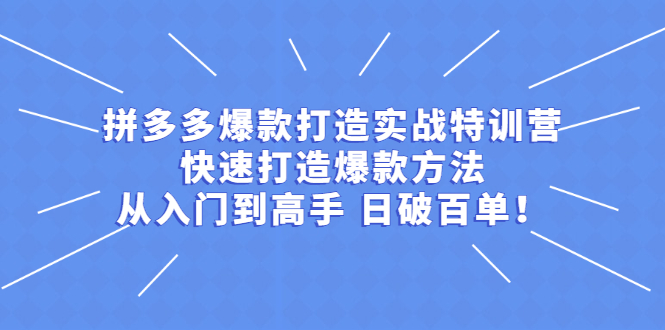 拼多多爆款打造实战特训营：快速打造爆款方法，从入门到高手 日破百单-稳赚族