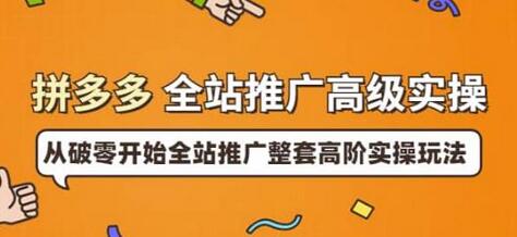 拼多多全站推广高级实操：从破零开始全站推广整套高阶实操玩法-稳赚族