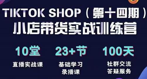 TikTokShop全球店带货训练营（14期）打开全球流量新思维，出海抢占全球新流量，一店卖全球-稳赚族