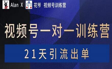 花爷×Alan×figo视频号训练营，带货，涨粉，直播，游戏，四大变现新方向，21天引流出单-稳赚族