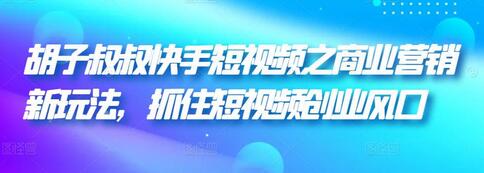 胡子叔叔快手短视频之商业营销新玩法，抓住短视频创业风口-稳赚族