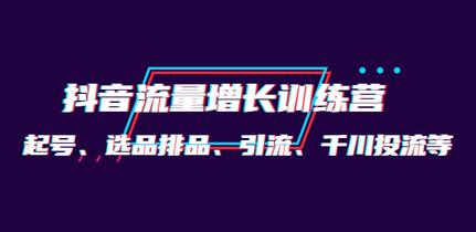 一群宝宝·抖音流量增长训练营：起号、选品排品、引流、千川投流等-稳赚族