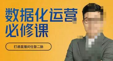 网川教育-数据化运营必修课，学会让数据说话，用数据反向助力直播间-稳赚族